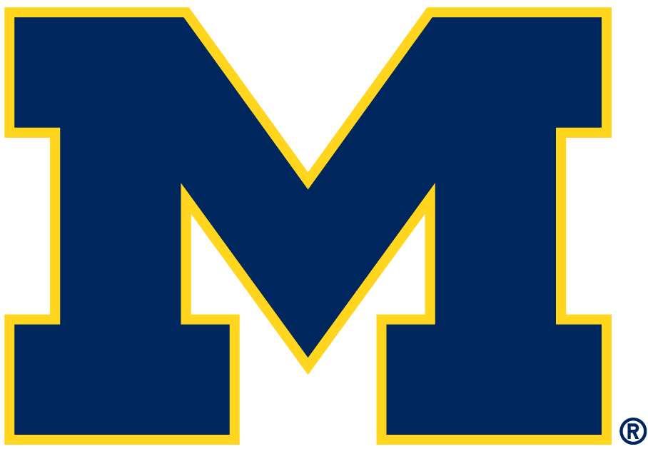Michigan Wolverines 1996-Pres Alternate Logo diy iron on heat transfer